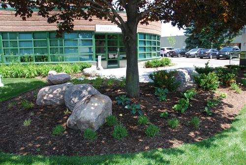 Shade planting