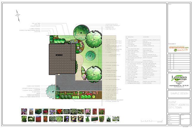 sample design image