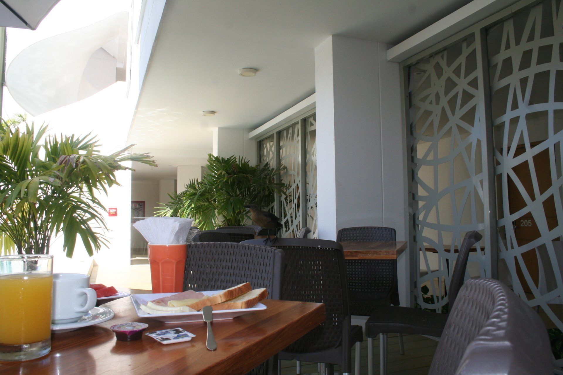 Una mesa de desayuno en un patio exterior. Incluye jugo de naranja, tostadas y un biombo decorativo.