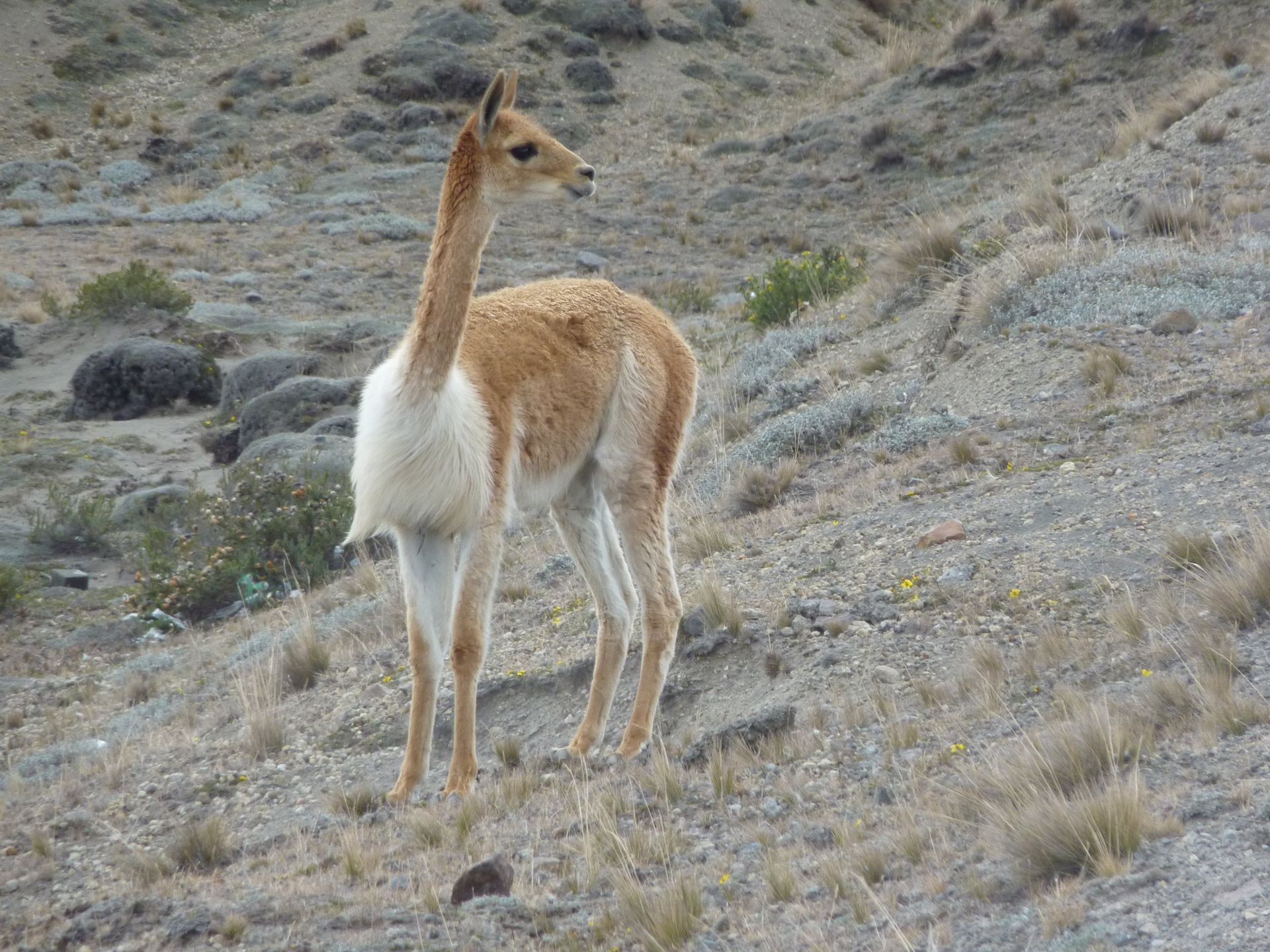 Ecuador