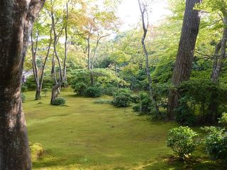 Moss