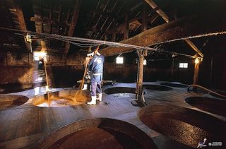 Soy Sauce Brewing