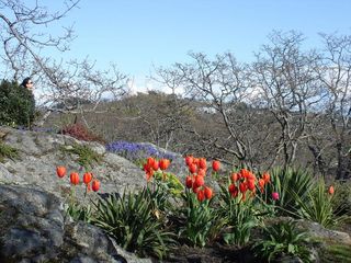 Victoria Garden