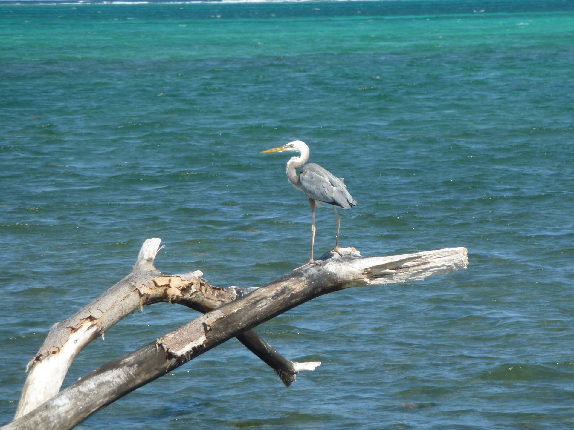 Belize