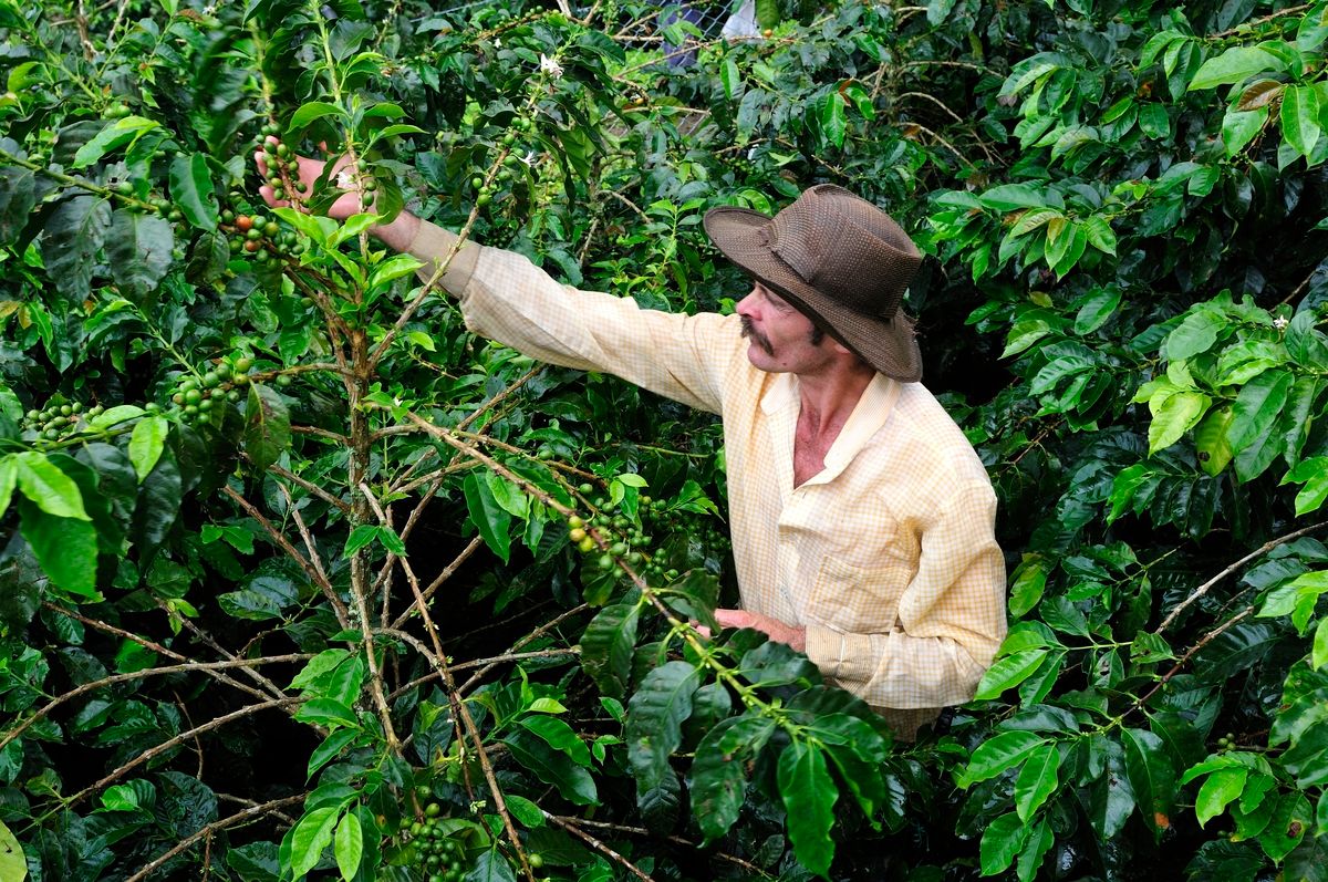 Colombia