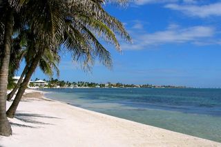 Arrive Ambergris Caye