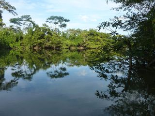 Arrive Belize