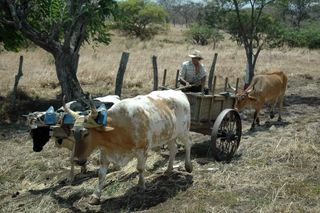 Costa Rica Tours
