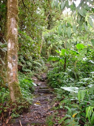 Baru Volcano National Park