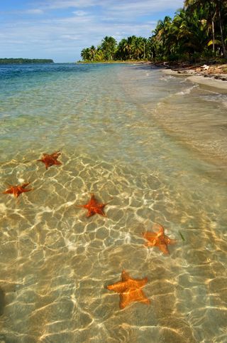 Panama City