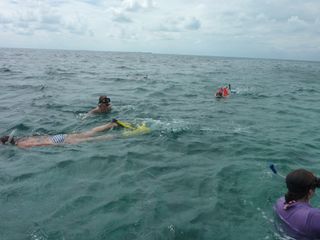 Snorkel Tour
