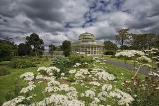 GARDENS OF IRELAND