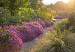 GARDENS OF IRELAND