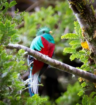 Costa Rica Tours