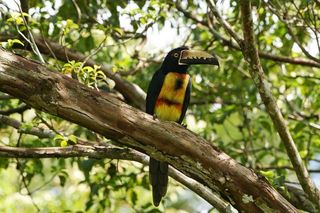 Chagres National Park