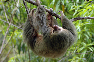 Costa Rica Tours