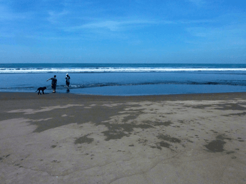 Surf Day