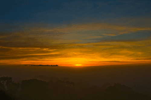 Brazil Ecotours