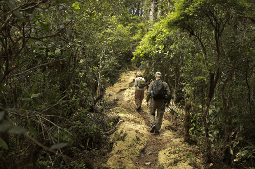 Costa Rica Tours