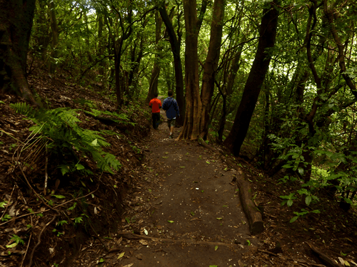 A Day of Adventure