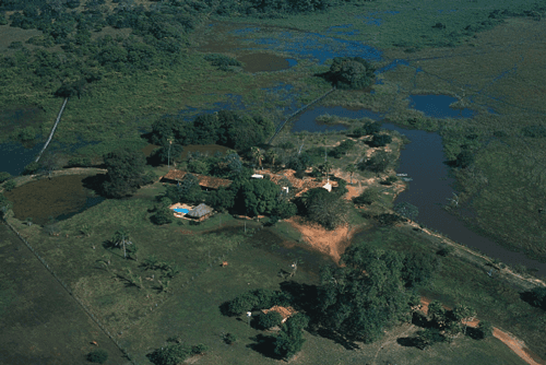 Pantanal