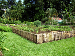 Costa Rica Tours