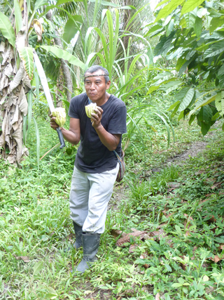 Chocolate and Rio Blanco National Park