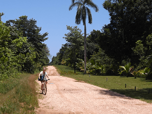 Placencia