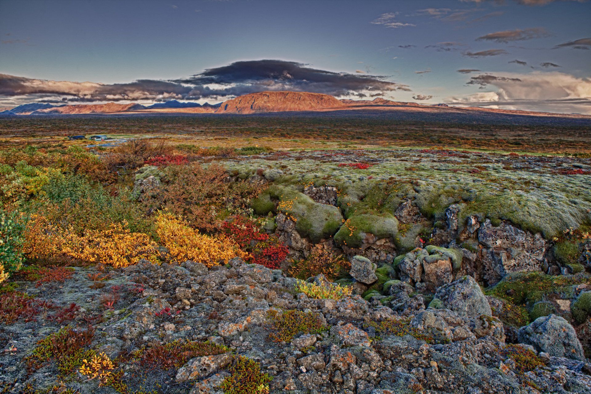 Will You Find Elves in Iceland Gardens?
