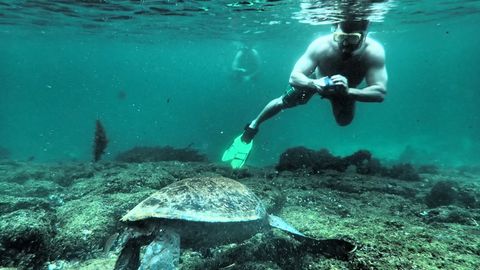 enchanted island eco tours galapagos tours