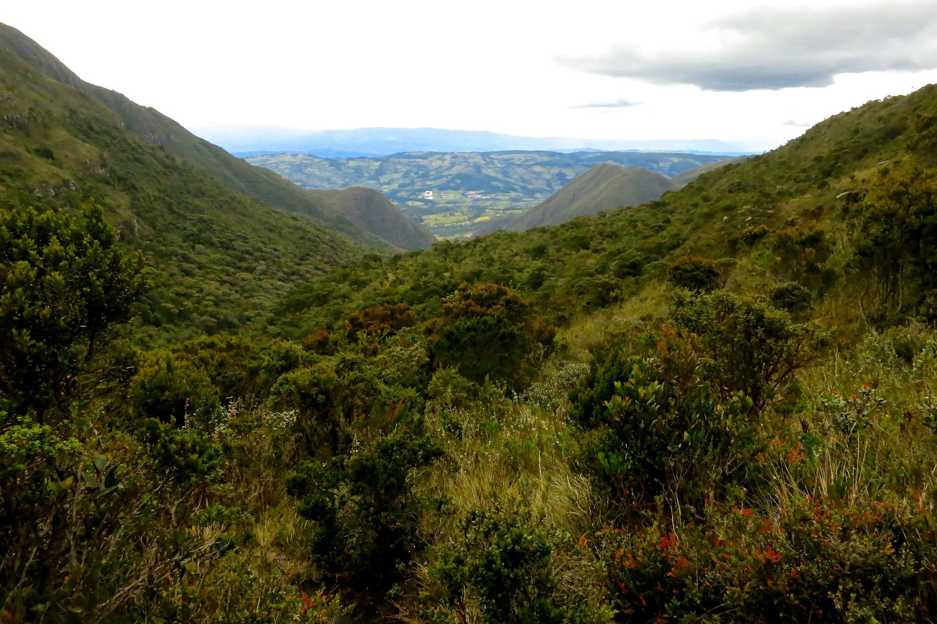 Colombia