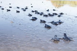 Costa Rica Tours