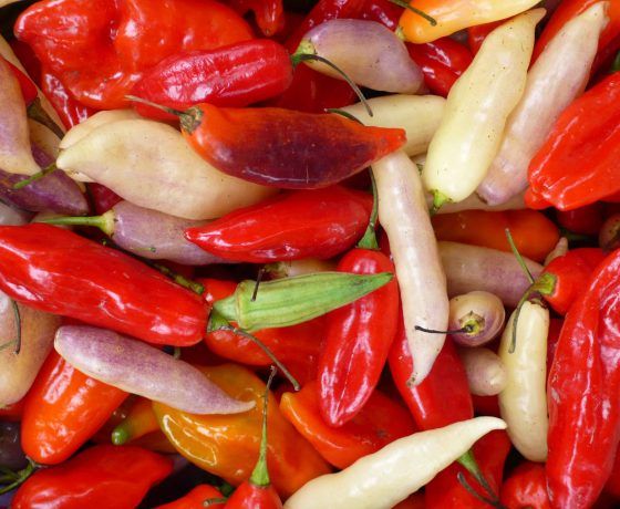 Peru : A Foodies Destination
