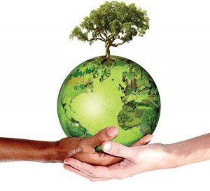 Ícone Ecológico - Carvoaria Vergueiro