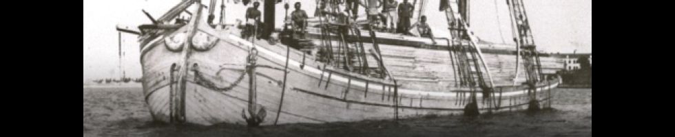 falegnameria
