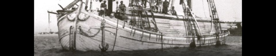 falegnameria falegnameria