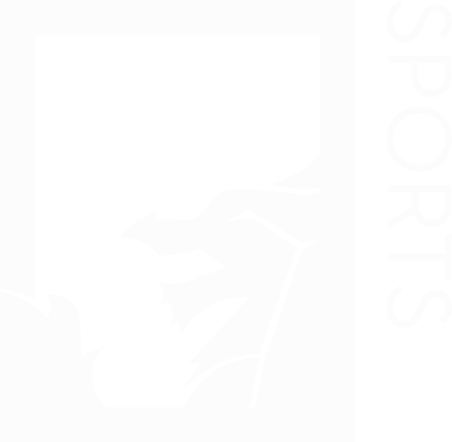 A white background with a few lines on it