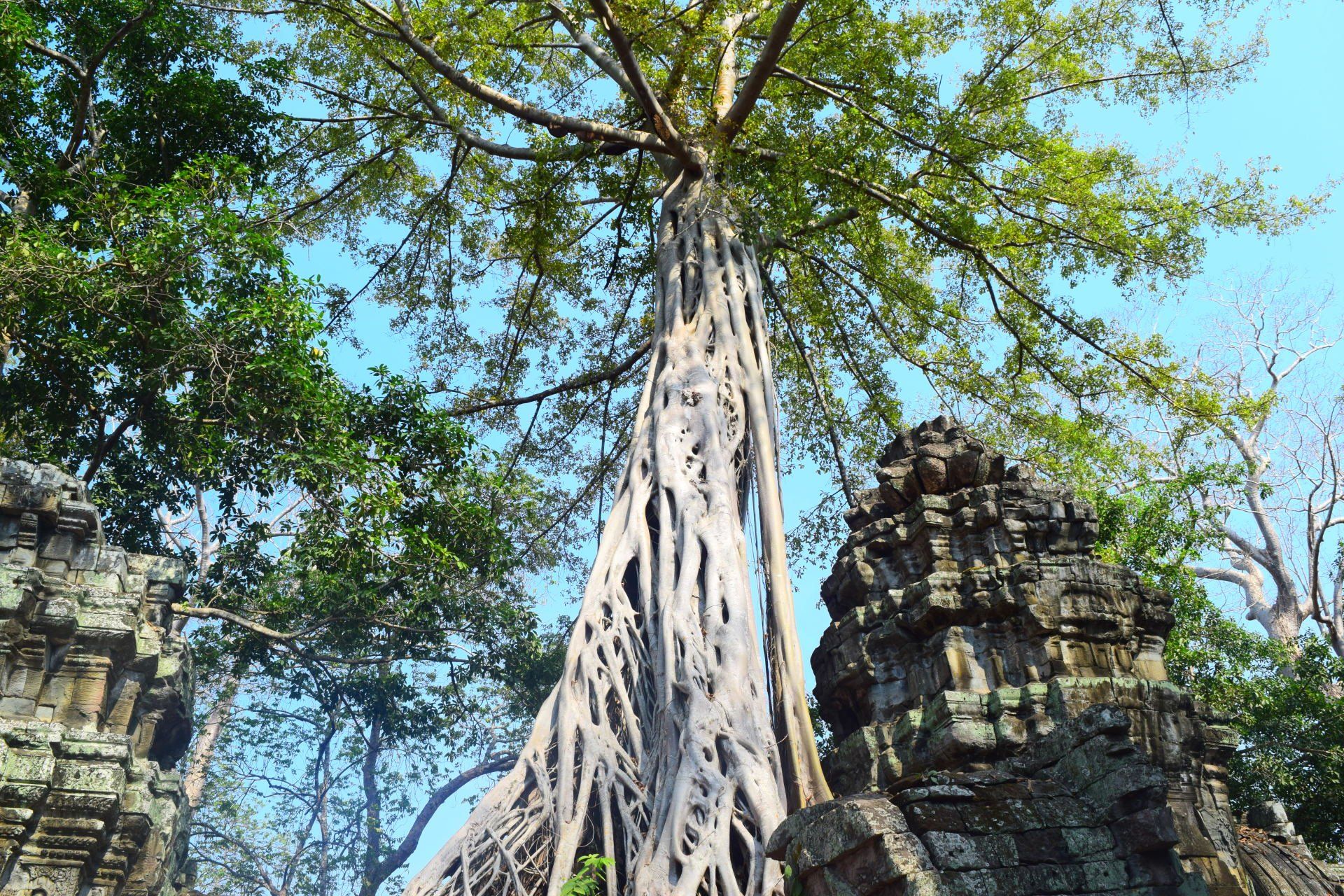 Vietnam & Cambodia