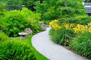 walkway with many plants
