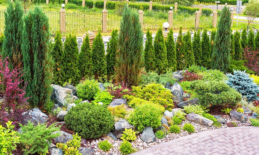 different kinds of plants in the landscape