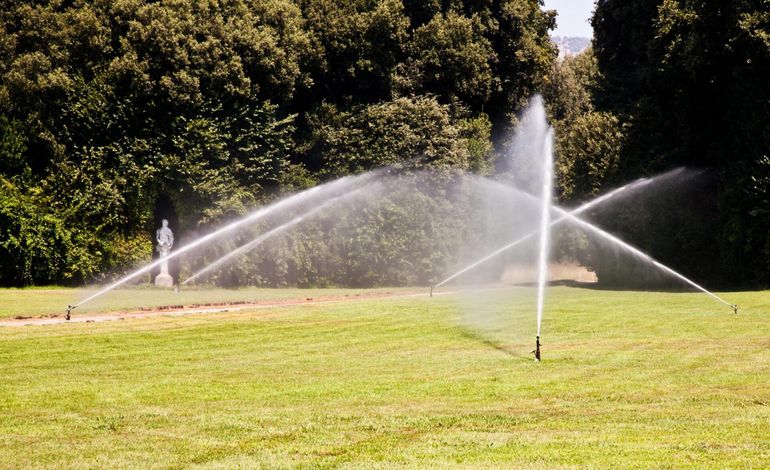 water sprinkling the grasses