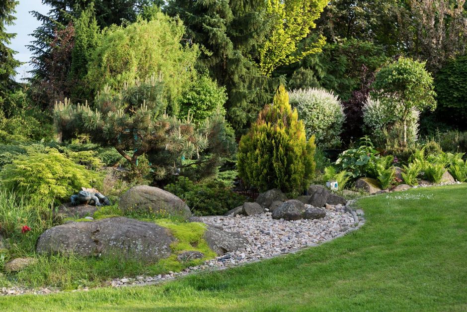 garden with stones and plants