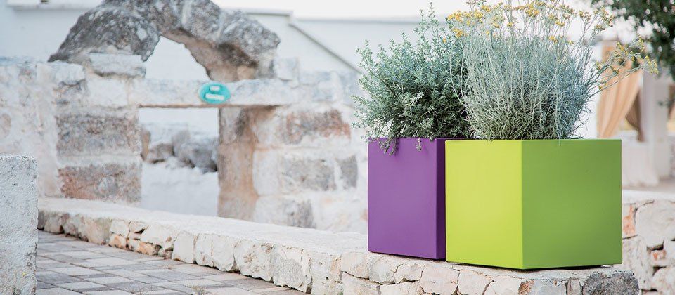 Vasi verde e viola