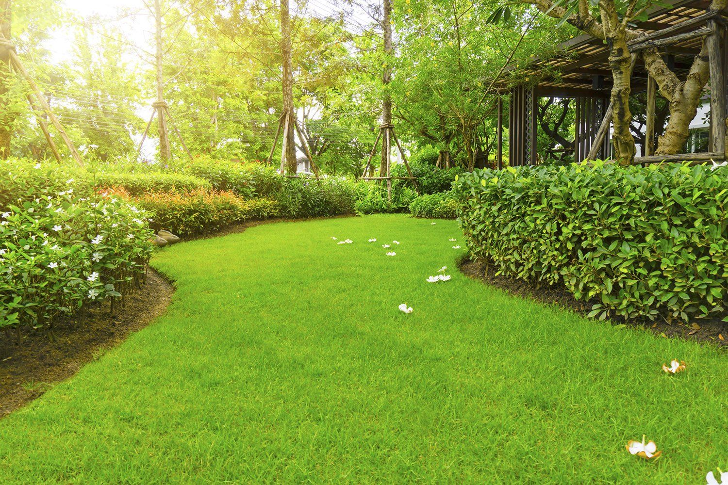 Landscape of Smooth Green Grass Lawn — Hartford, CT — Frank Pappa & Sons, Inc Landscape of Smooth Green Grass Lawn — Hartford, CT — Frank Pappa & Sons, Inc