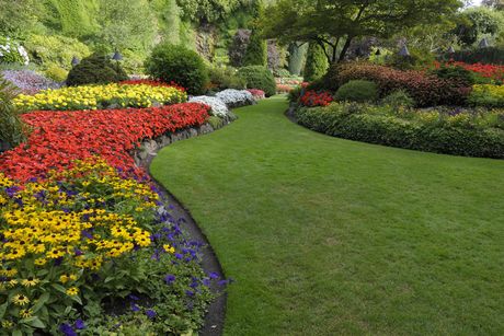 Summer Garden — Hartford, CT — Frank Pappa & Sons, Inc