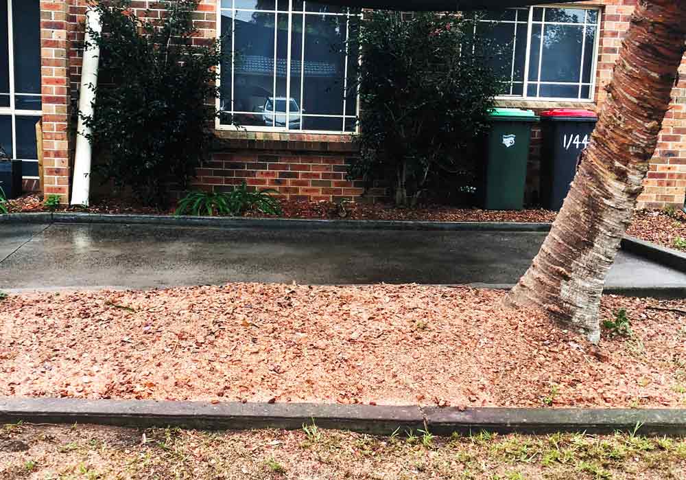 wood chips on ground