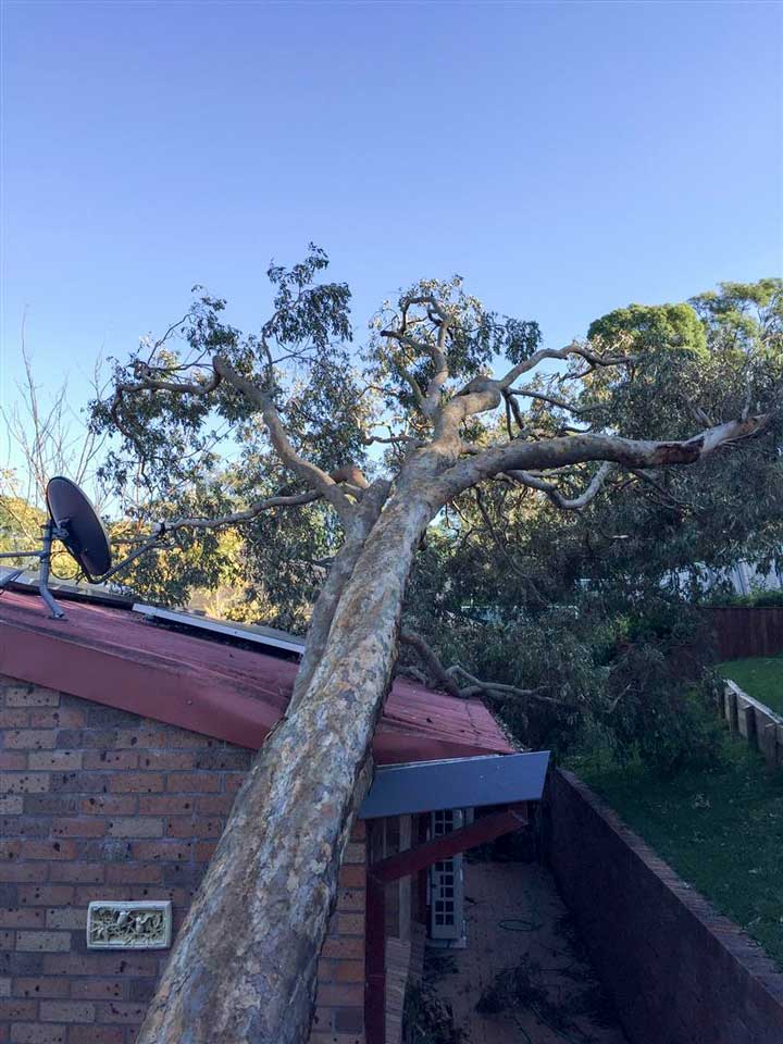 Storm Damage