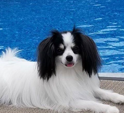 Denise S. — Blair, NE — Holstein Veterinary Clinic Denise S. — Blair, NE — Holstein Veterinary Clinic