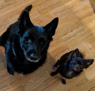 Veterinary Clinic — Sadie B. in Blair, NE Veterinary Clinic — Sadie B. in Blair, NE