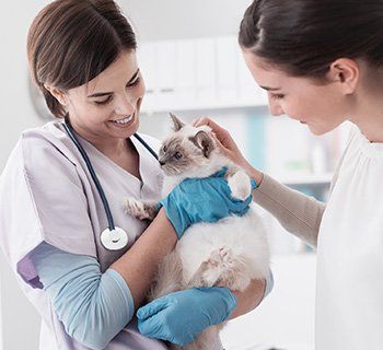 Woman Carrying a Cat After Check Up — Wilbraham, MA — Eastfield Hospital for Animals